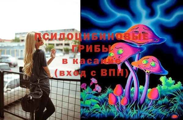 молекула духа Семёнов