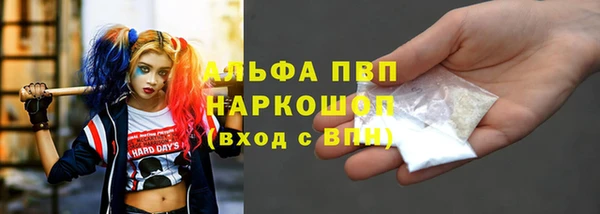 стафф Семилуки
