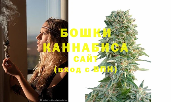 гашик Слюдянка