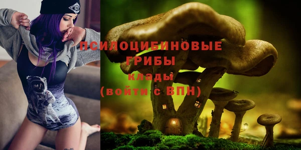 ГАЛЛЮЦИНОГЕННЫЕ ГРИБЫ Снежинск
