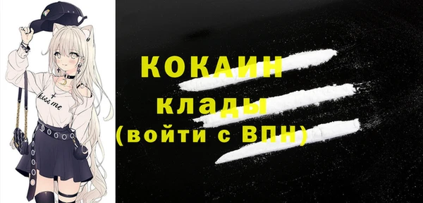 стафф Семилуки