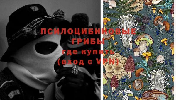 стаф Долгопрудный